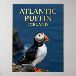 🐧 Atlantic Puffin Iceland Coastal Bird Poster