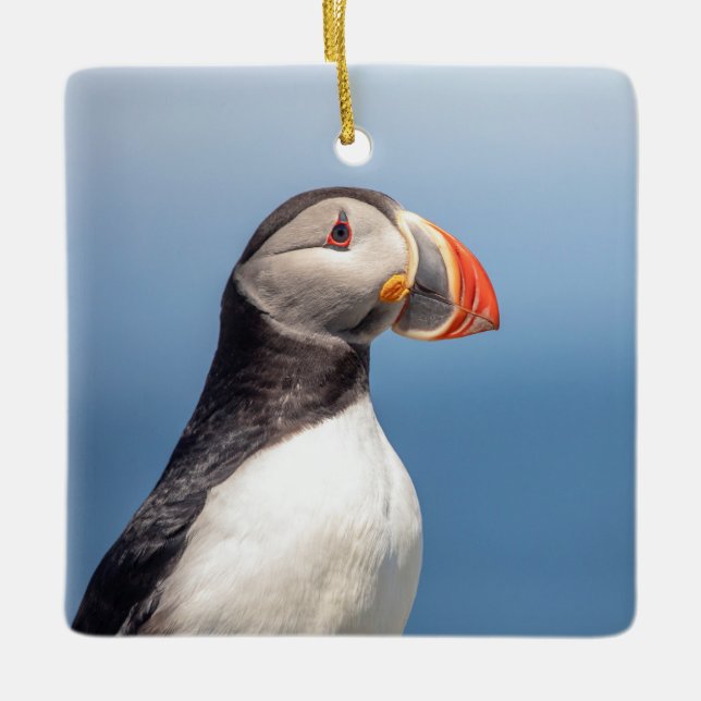 Atlantic Puffin in Machias, Maine Ceramic Ornament (Front)