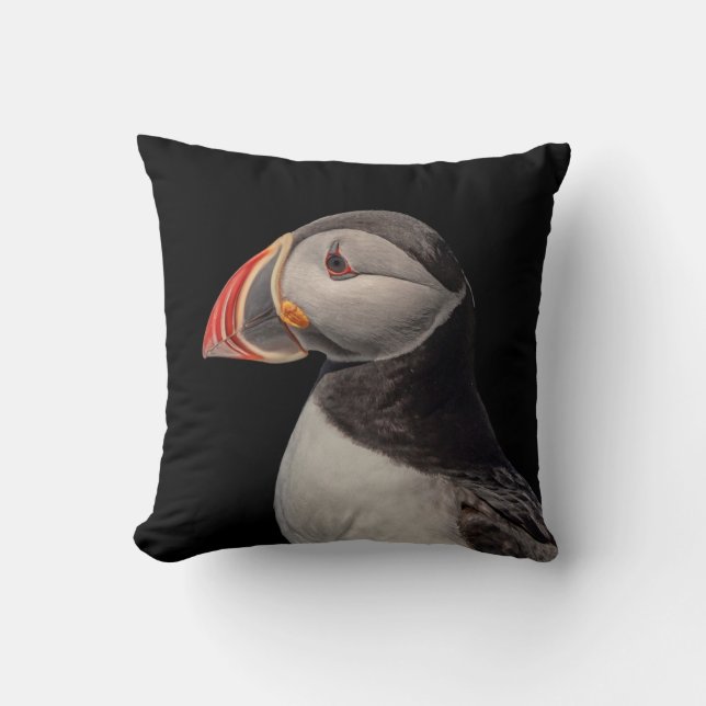 Atlantic Puffin in Machias, Maine Cushion (Front)