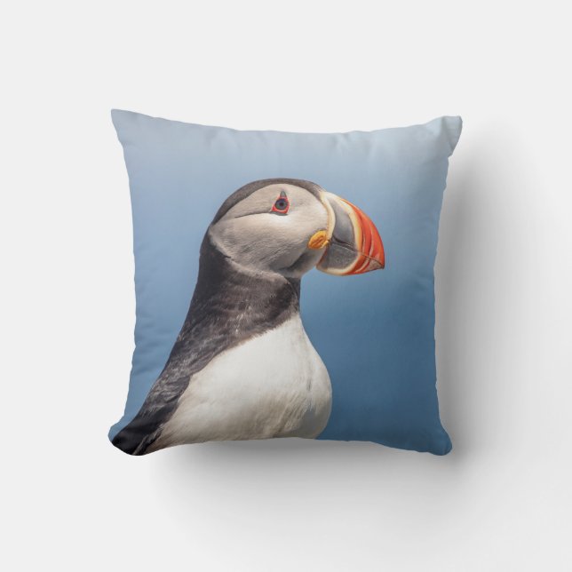 Atlantic Puffin in Machias, Maine Cushion (Front)