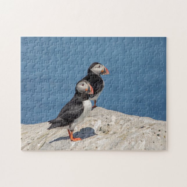 Atlantic Puffin in Machias, Maine Jigsaw Puzzle (Horizontal)