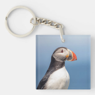 Atlantic Puffin in Machias, Maine Key Ring