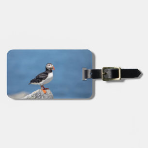 Atlantic Puffin in Machias, Maine Luggage Tag