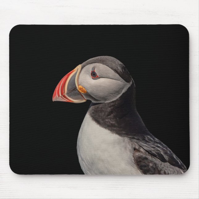 Atlantic Puffin in Machias, Maine Mouse Mat (Front)