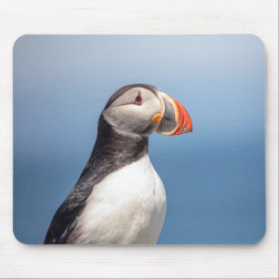 Atlantic Puffin in Machias, Maine Mouse Mat