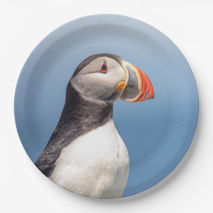 Atlantic Puffin in Machias, Maine Paper Plate