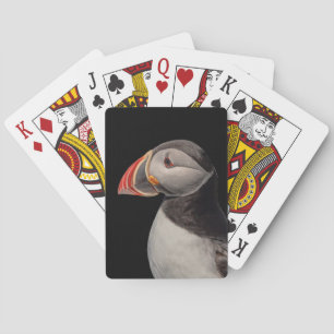 Atlantic Puffin in Machias, Maine Playing Cards