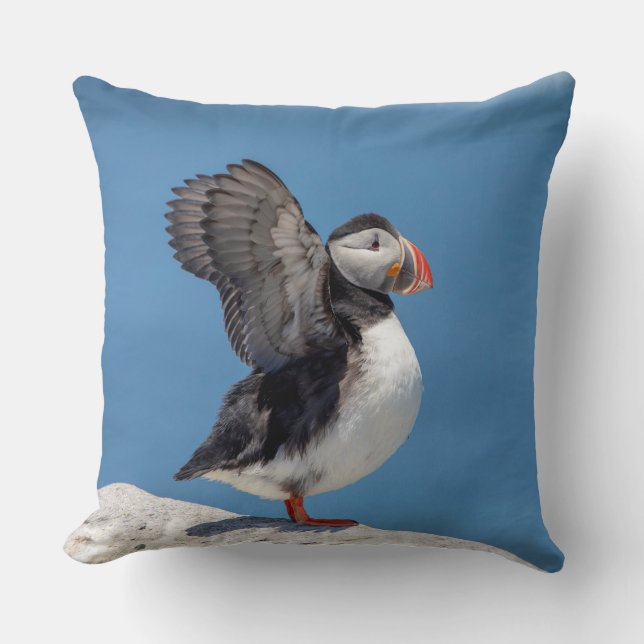 Atlantic Puffin in Machias, ME Cushion (Front)