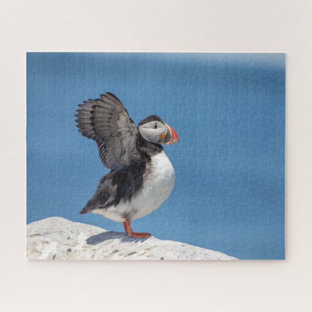 Atlantic Puffin in Machias, ME Jigsaw Puzzle (Horizontal)