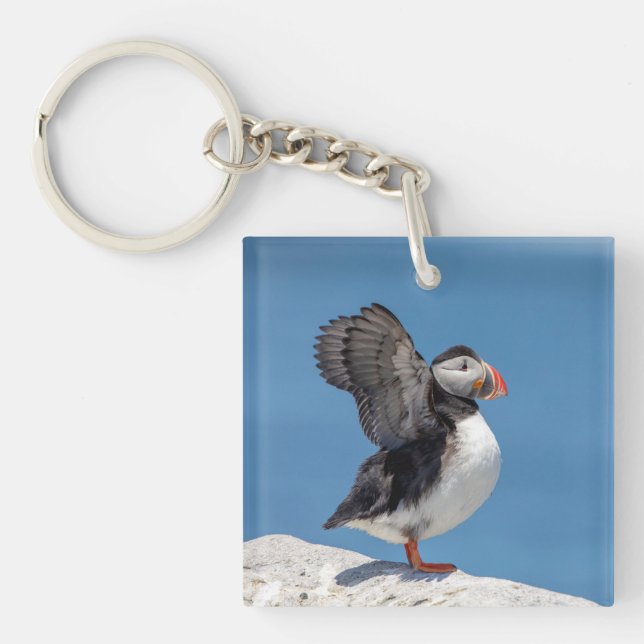 Atlantic Puffin in Machias, ME Key Ring (Front)