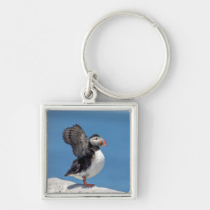 Atlantic Puffin in Machias, ME Key Ring