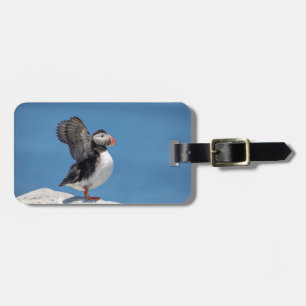 Atlantic Puffin in Machias, ME Luggage Tag
