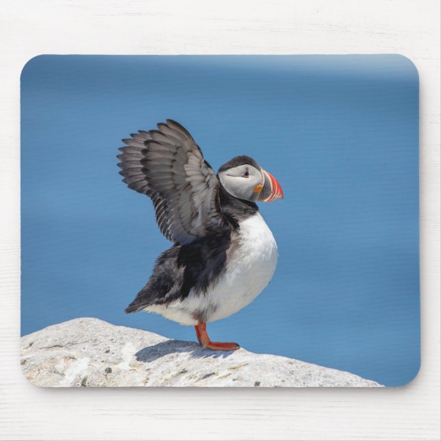 Atlantic Puffin in Machias, ME Mouse Mat (Front)