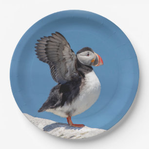 Atlantic Puffin in Machias, ME Paper Plate