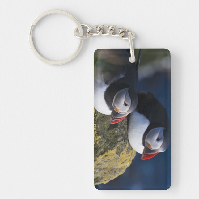 Atlantic Puffin Key Ring (Front)