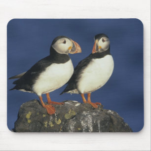Atlantic Puffin Mouse Mat