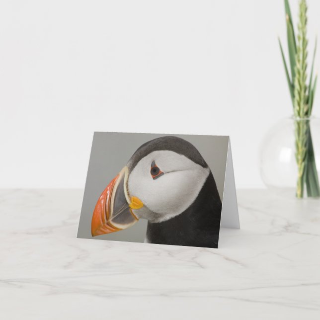 Atlantic Puffin Notecards (Front)
