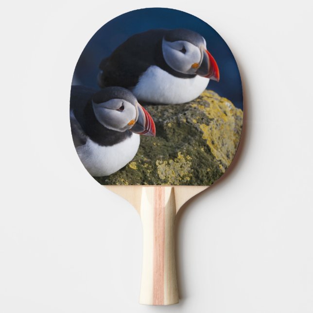 Atlantic Puffin Ping Pong Paddle (Front)