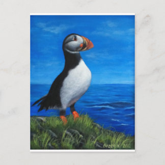 Atlantic Puffin Postcard