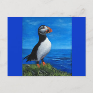 Atlantic Puffin Postcard