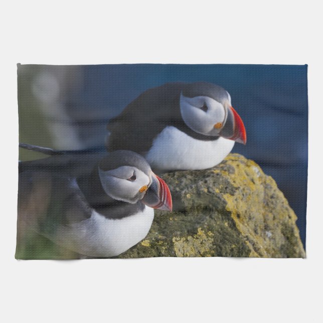 Atlantic Puffin Tea Towel (Horizontal)