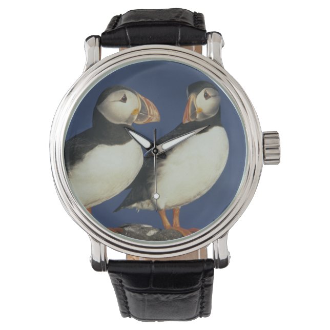 Atlantic Puffin Watch (Front)