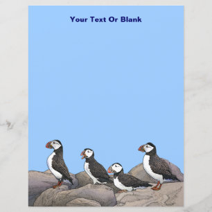 Atlantic Puffins