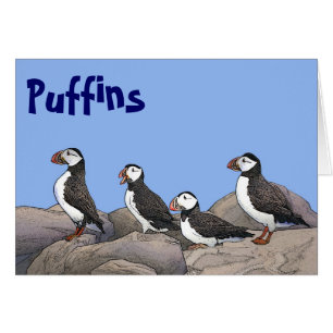 Atlantic Puffins