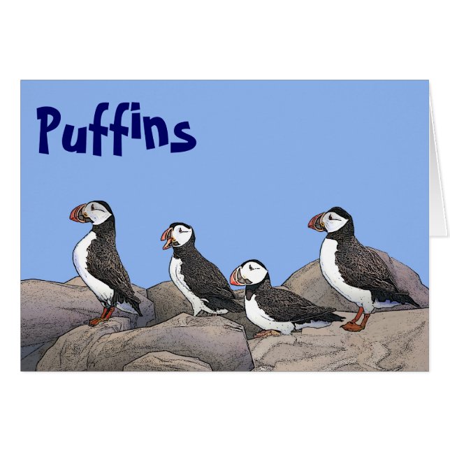 Atlantic Puffins (Front Horizontal)