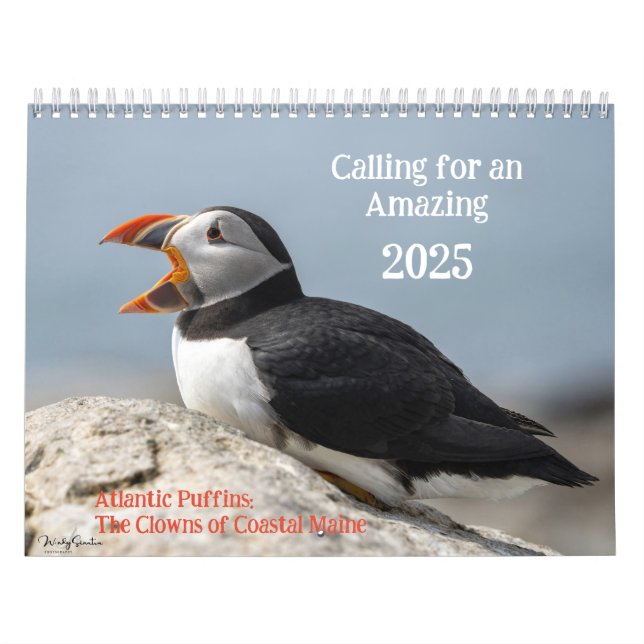 Atlantic Puffins 2025 Calendar (Cover)
