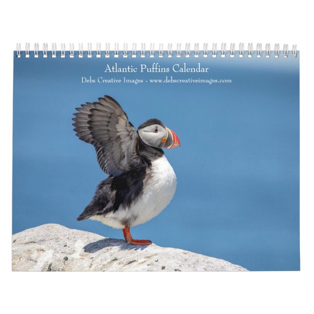 Atlantic Puffins 2026 Calendar (Cover)