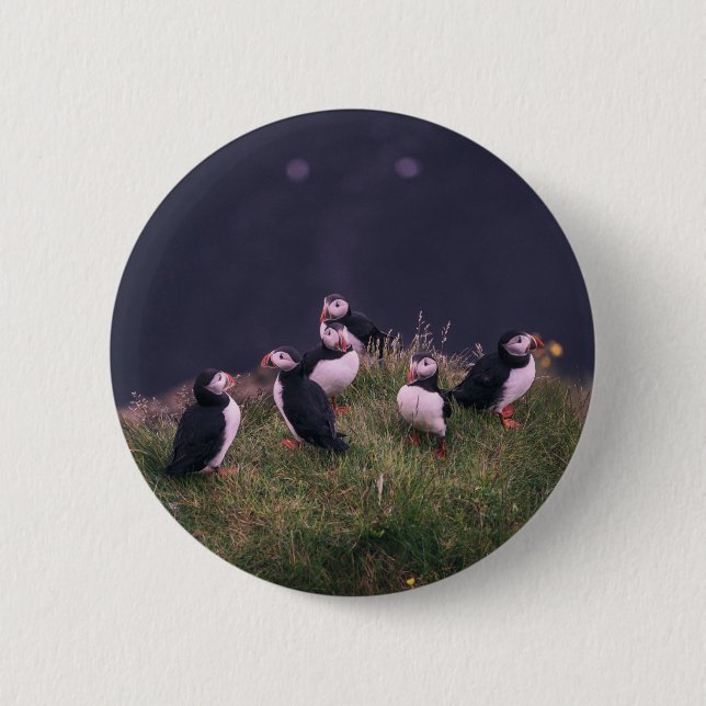 Atlantic Puffins 6 Cm Round Badge (Front)