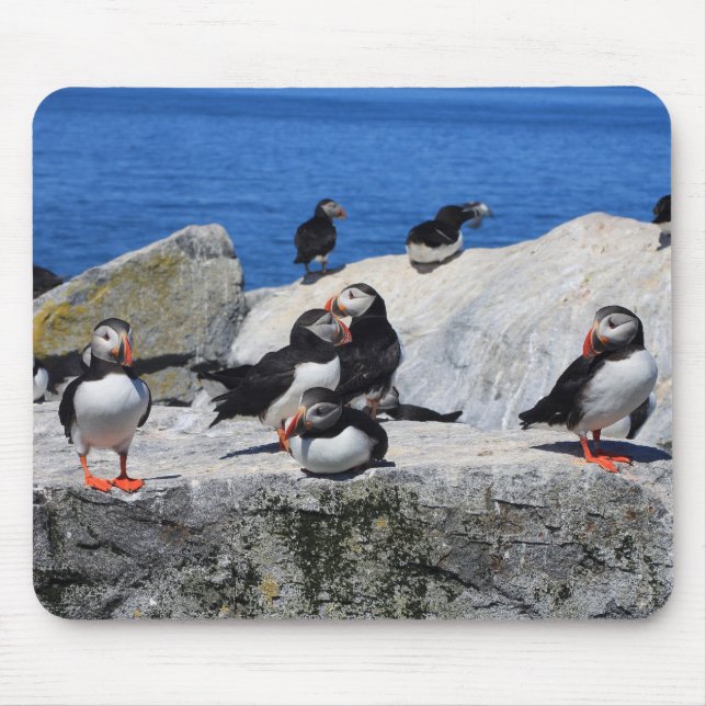 Atlantic Puffins at Machias Seal Island Mouse Mat (Front)