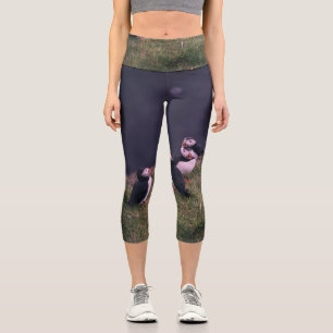Atlantic Puffins Capri Leggings