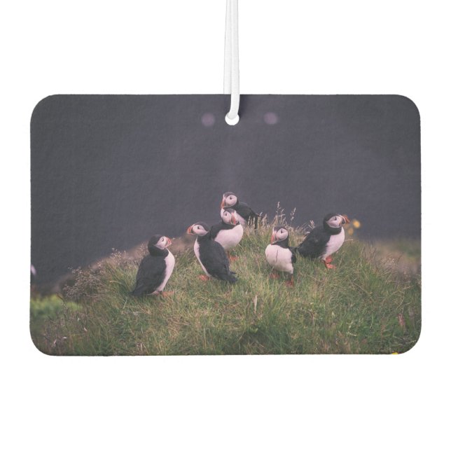 Atlantic Puffins Car Air Freshener (Front)