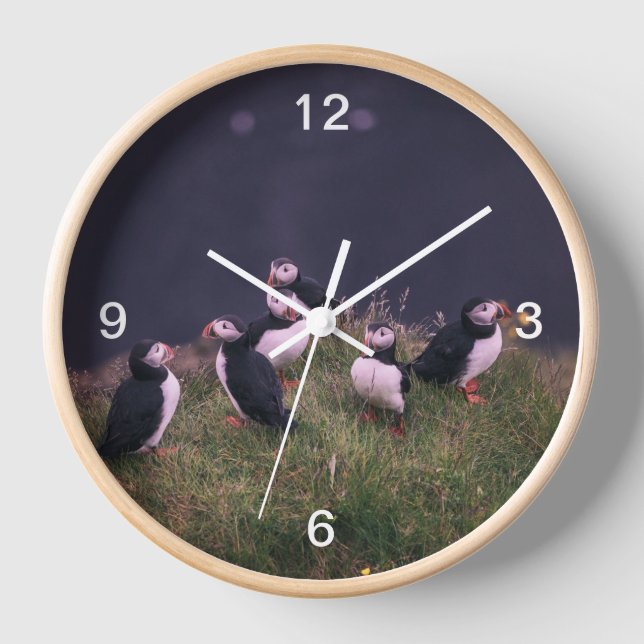 Atlantic Puffins Clock (Front)