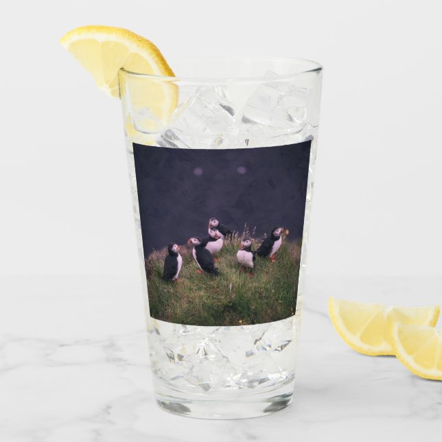Atlantic Puffins Glass (Front Ice)