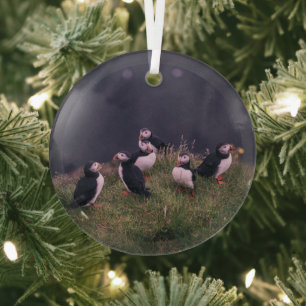 Atlantic Puffins Glass Tree Decoration