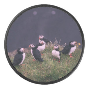 Atlantic Puffins Hockey Puck