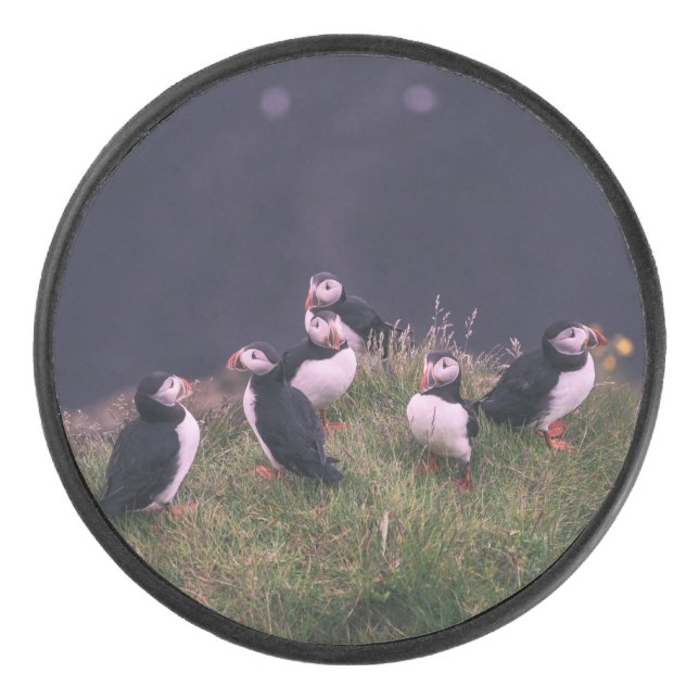 Atlantic Puffins Hockey Puck (Front)