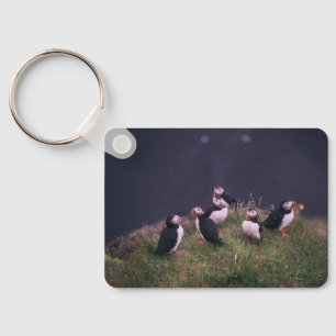 Atlantic Puffins Key Ring