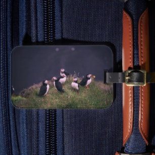 Atlantic Puffins Luggage Tag