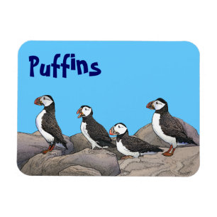 Atlantic Puffins Magnet