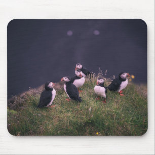 Atlantic Puffins Mouse Pad