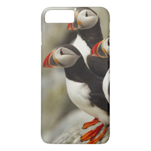Atlantic Puffins on Machias Seal Island iPhone 8 Plus/7 Plus Case