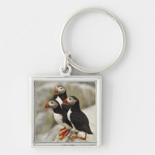 Atlantic Puffins on Machias Seal Island Key Ring