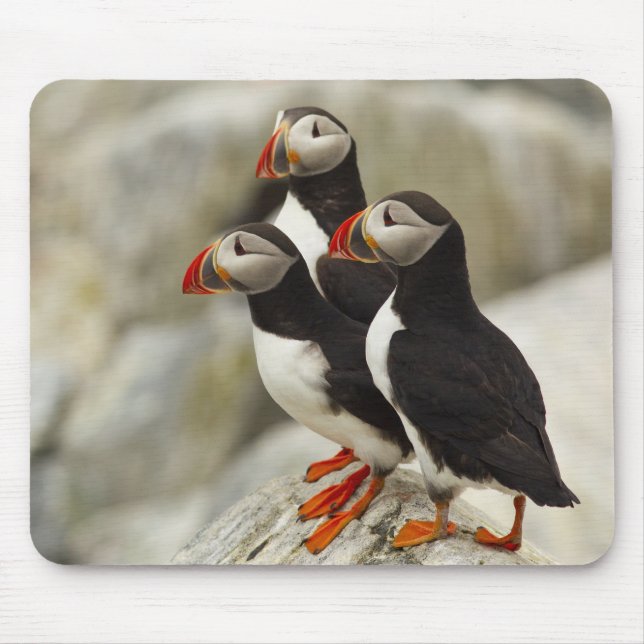 Atlantic Puffins on Machias Seal Island Mouse Mat (Front)
