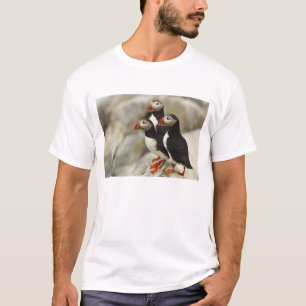Atlantic Puffins on Machias Seal Island T-Shirt