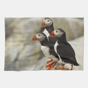 Atlantic Puffins on Machias Seal Island Tea Towel