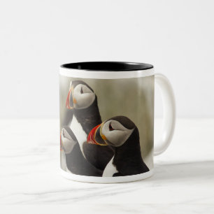 Atlantic Puffins on Machias Seal Island Two-Tone Coffee Mug